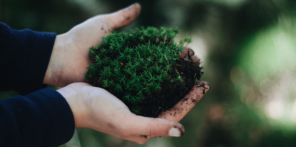 Profiter des atouts du poêle à bois