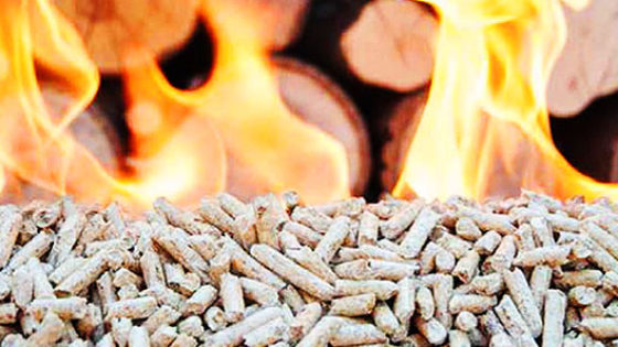 lenha-ou-pellets